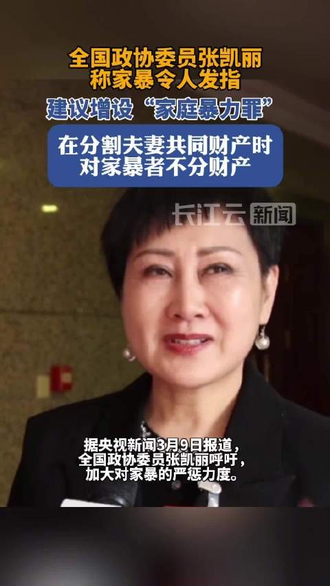 张凯丽说家暴令人发指