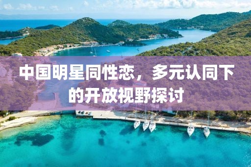 中国明星同性恋，多元认同下的开放视野探讨