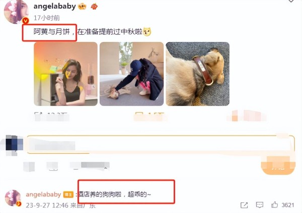 杨颖晒阿黄狗被疑内涵黄晓明，女方不理舆论晒露腰美照贺王者夺金