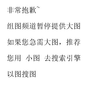 徐沛东致辞