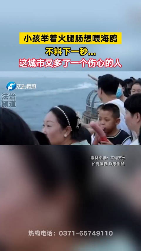 小孩举着火腿肠想喂海鸥 不料下一秒... 这城市又多了一个伤心的人