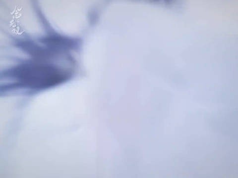 念无双女团必须值得!每个角色都很鲜活,演技也全员在线