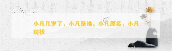 小凡几岁了，小凡是谁，小凡原名，小凡现状