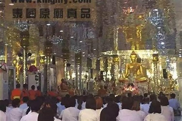 属狗的明星和大佬