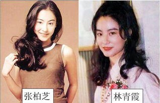 男明星双生子大片_男明星双生子大片，你最爱哪一对？