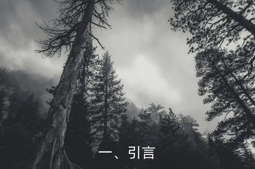 一、引言