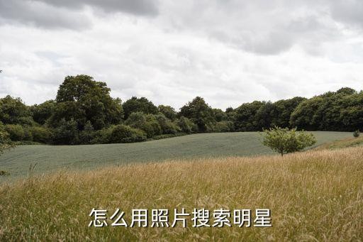 怎么用照片搜索明星