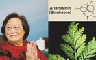 祝贺！屠呦呦当选美国科学院外籍院士