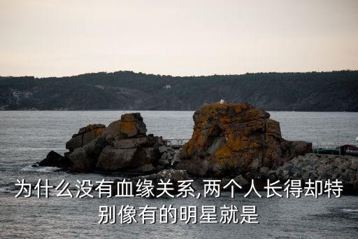 为什么没有血缘关系,两个人长得却特别像有的明星就是