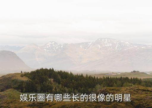 娱乐圈有哪些长的很像的明星