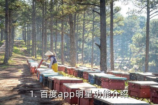 1. 百度app明星功能介绍