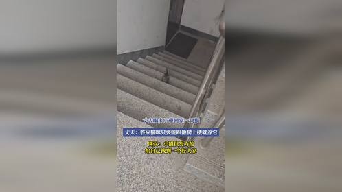 丈夫喝多带回家一只猫，丈夫：答应猫咪只要能跟他爬上楼就养它
