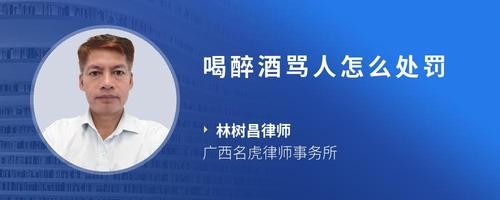 喝醉酒骂人怎么处罚
