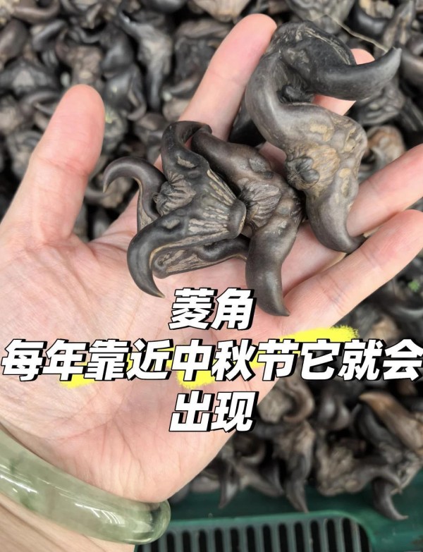 情侣拍照姿势指南：轻松拍出自然CP照