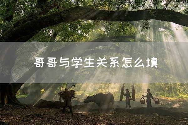 哥哥与学生关系怎么填