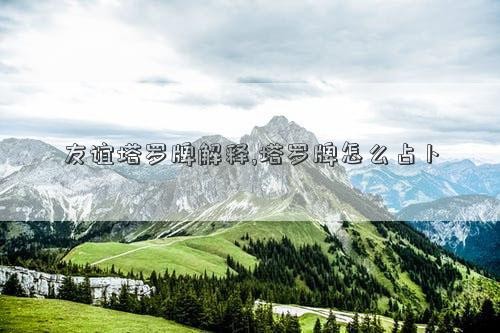 友谊塔罗牌解释,塔罗牌怎么占卜