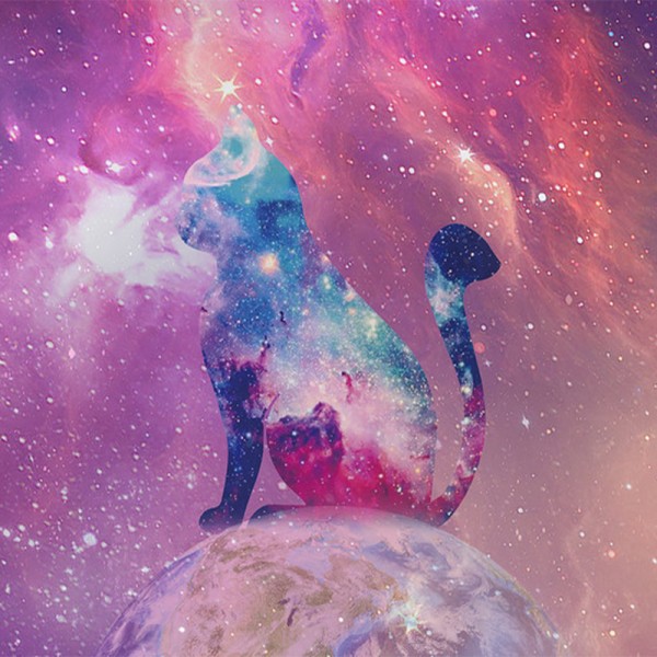听完暖暖的，那些和好莱坞明星发生的小故事.jpg