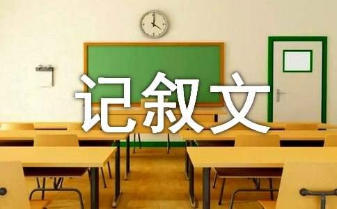 追星族初中记叙文（精选15篇）