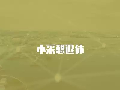 小采想退休