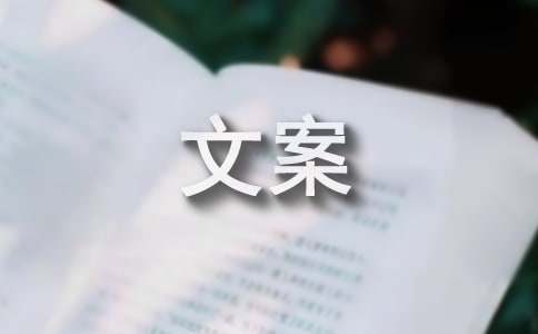 追星温柔文案（精选540句）