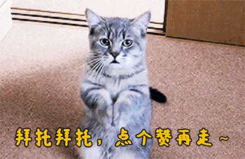 叶罗丽测试：挑一件你最喜欢的礼服，测你有没有明星命或明星范？