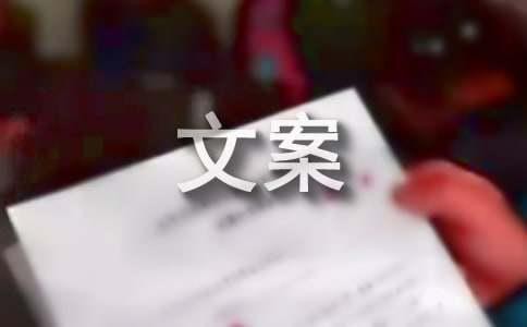 关于明星的文案