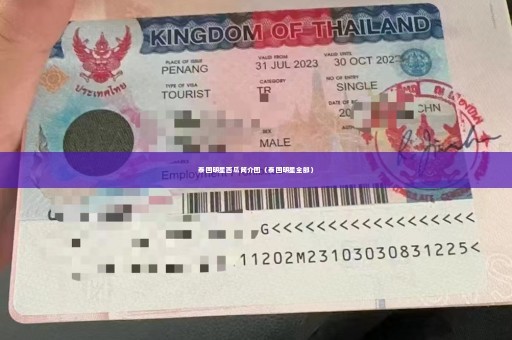 泰国明星西瓜简介图（泰国明星全部）