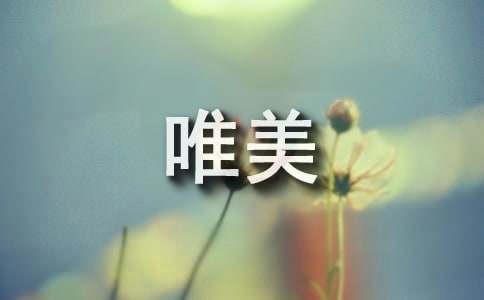 形容姐妹情深的唯美句子（精选330句）