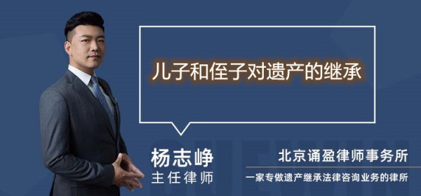 儿子和侄子对遗产的继承