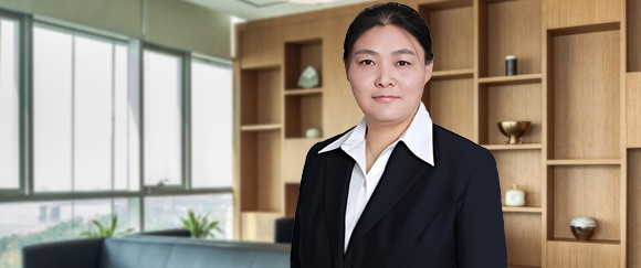 平谷区男女朋友关系财产纠纷律师-王晓芳