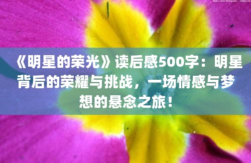 《明星的荣光》<a href=https://www.baixuetang.com target=_blank class=infotextkey>读后感</a>500字：明星背后的荣耀与挑战，一场情感与梦想的悬念之旅！