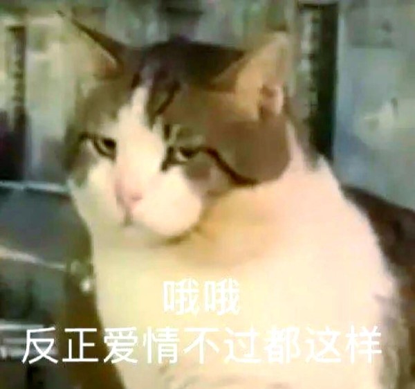 追星和恋爱的8个不同之处