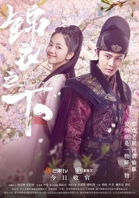 名导+明星云集的《完美关系》缘何被小制作网剧《锦衣之下》碾压