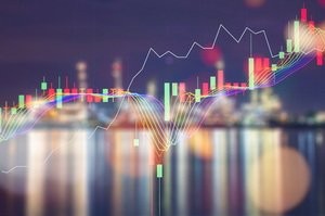 个人隐私禁止人肉曝光名人转帖或担责