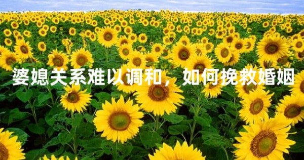 婆媳关系难以调和，如何挽救婚姻