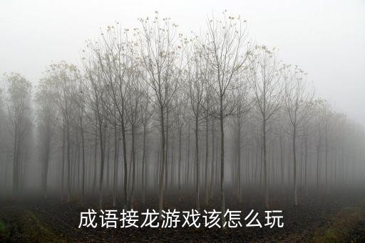 成语接龙游戏该怎么玩