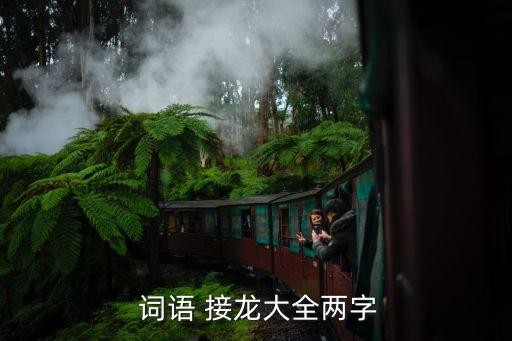  词语 接龙大全两字