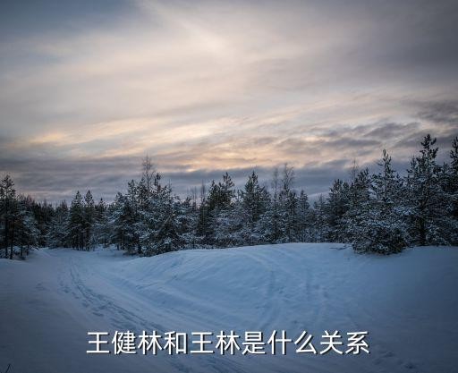 王健林和王林是什么关系