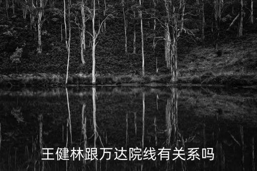 王健林跟万达院线有关系吗