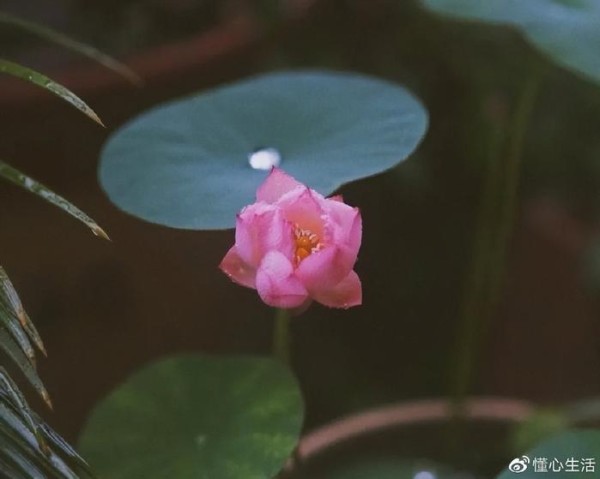 处理婆媳关系，情商高的男人擅长用3招，而不是拉偏架装聋作哑