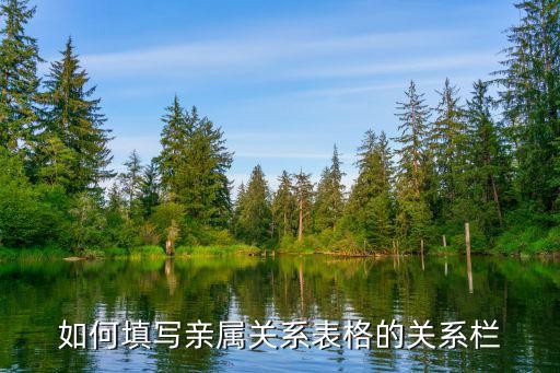如何填写亲属关系表格的关系栏