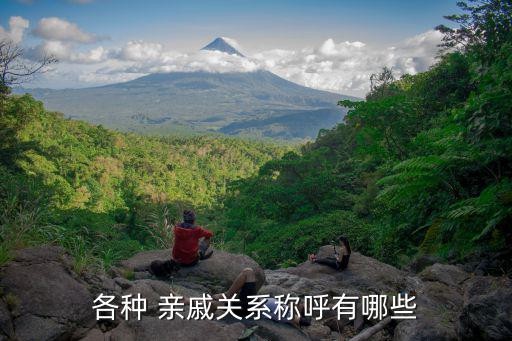 各种 亲戚关系称呼有哪些