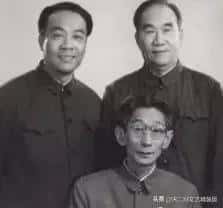 满族的明星为啥这么多（为什么满人后代明星多）