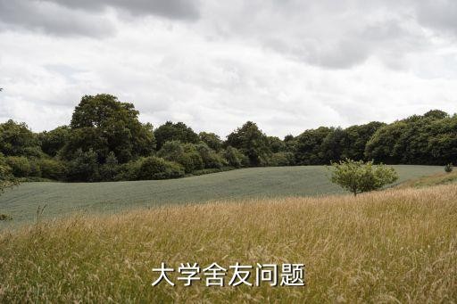大学舍友问题