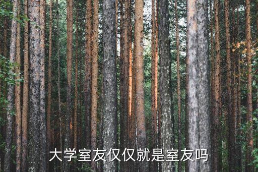 大学室友仅仅就是室友吗