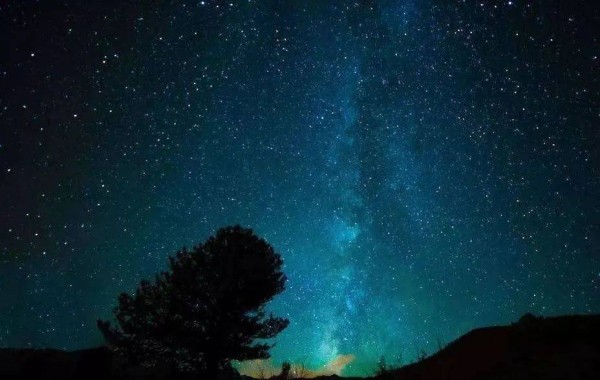 以前籽料里的大明星，如今是何状况了？ 第9张