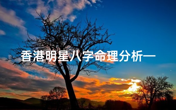香港明星八字命理分析—香港批八字