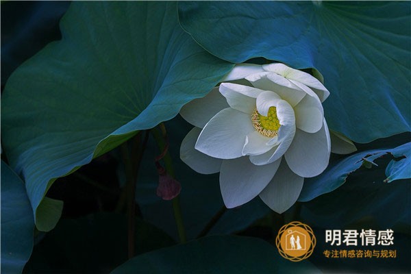 婆媳关系不好怎么办,教你八个小妙招
