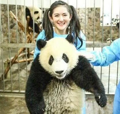 熊猫和5位女星合影，对4人爱搭不理，唯独她一人遭国宝主动亲吻！