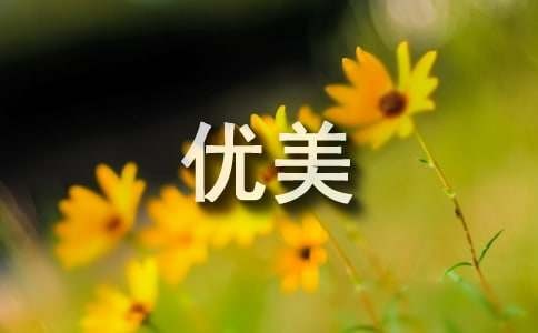 形容父女情深的优美句子280句